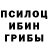 Галлюциногенные грибы мицелий Kami Tyan