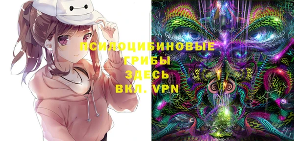бошки Нягань