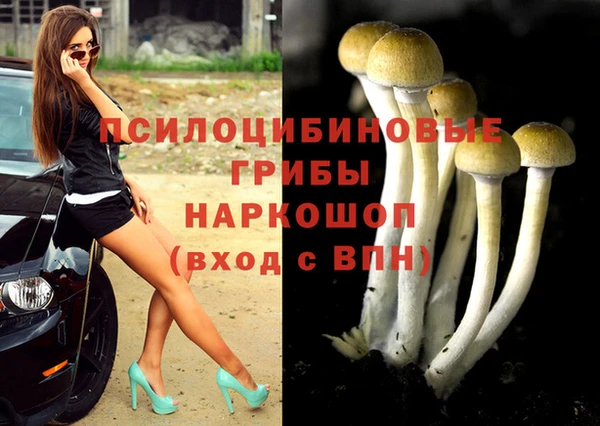 каннабис Алексин